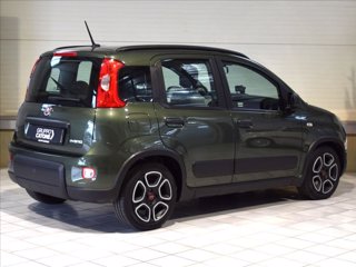 FIAT Panda 1.0 firefly hybrid s&s 70cv
