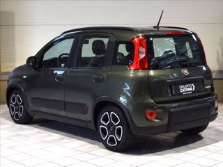 FIAT Panda 1.0 firefly hybrid s&s 70cv