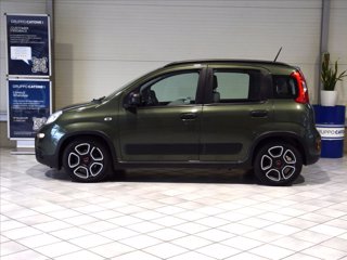 FIAT Panda 1.0 firefly hybrid s&s 70cv