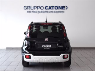 FIAT Pandina 1.0 firefly hybrid Icon s&s 70cv 5p.ti