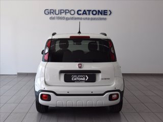 FIAT Pandina 1.0 firefly hybrid Icon s&s 70cv 5p.ti